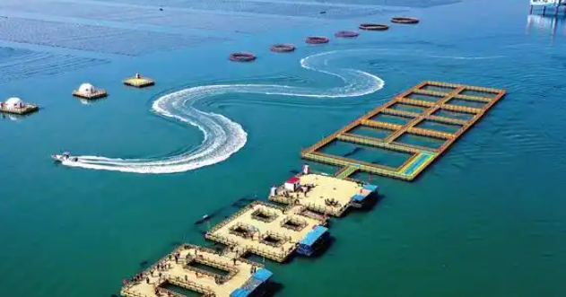 临港文理学院研发贝壳基环保材料 变废为宝赋能海洋工程与农业